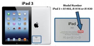 iPad Model Numarası